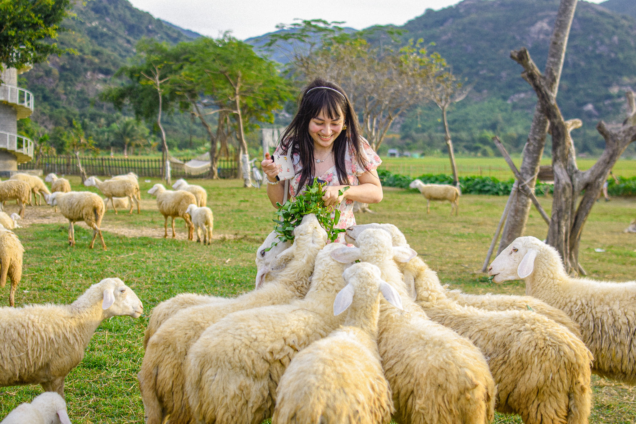 Phan Rang City Tour
