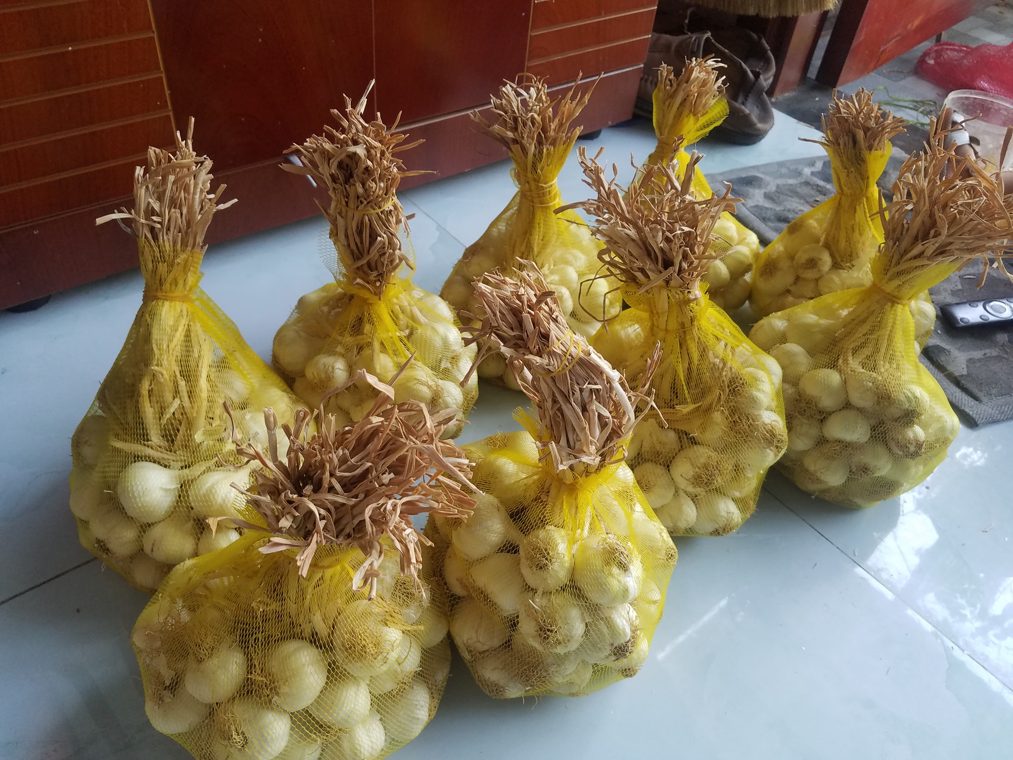 Ninh Thuan Garlic